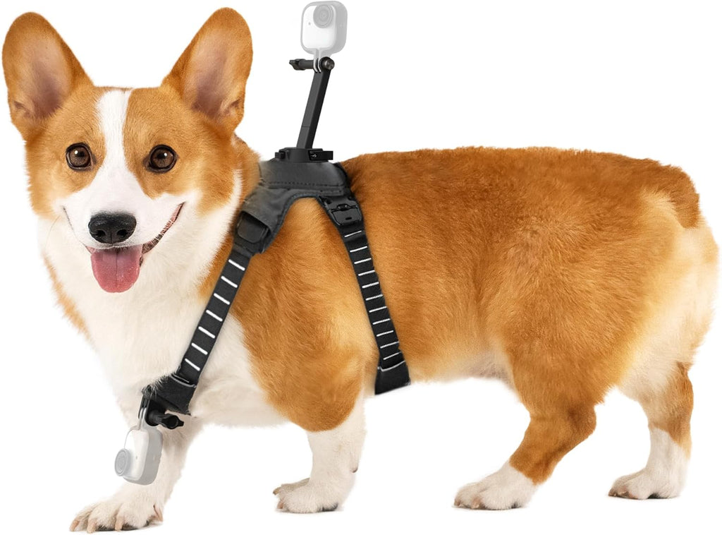 Insta360 Pet Harness Mount Size
