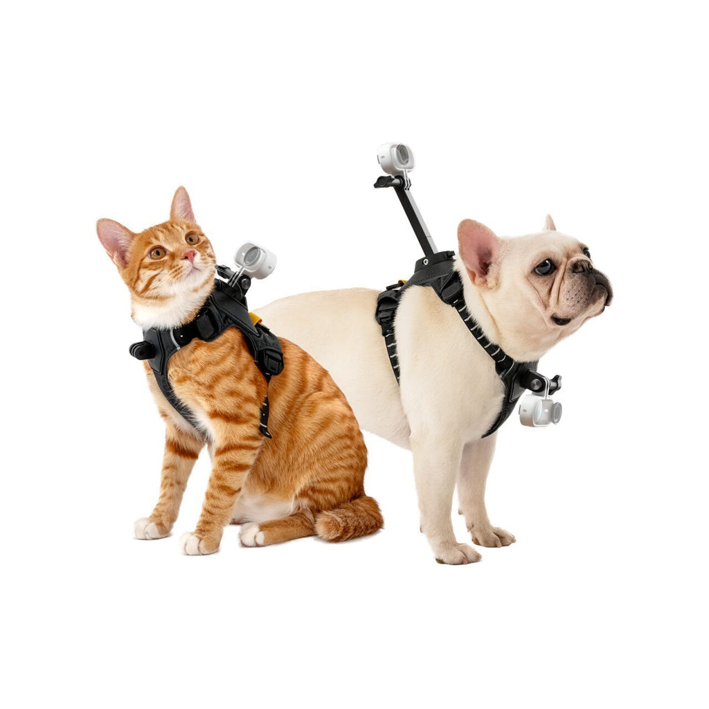 Insta360 Pet Harness Mount Size
