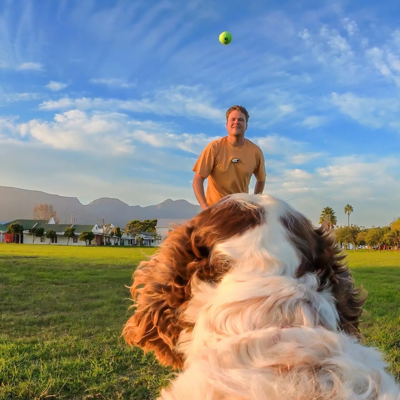 Insta360 Pet Harness Mount Size